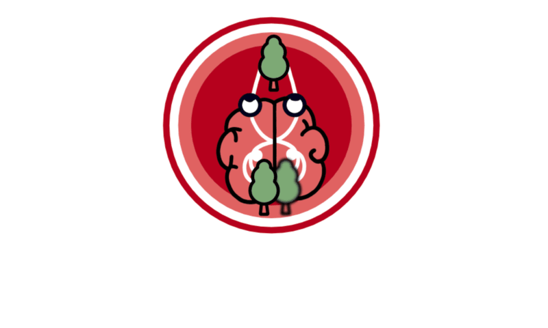 A photograph of an article entitled Program - DWOJENIE